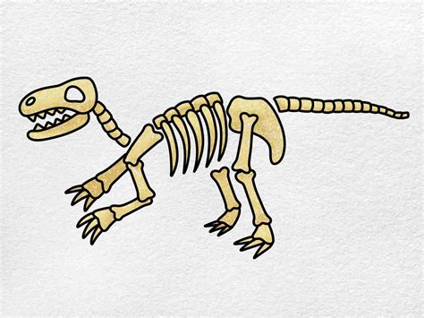 easy to draw fossil.